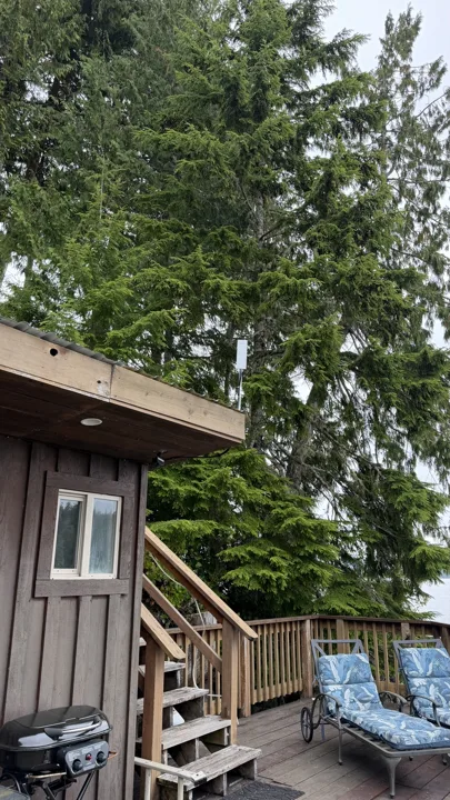 Starlink dish mounted on a pole beside a cabin among trees